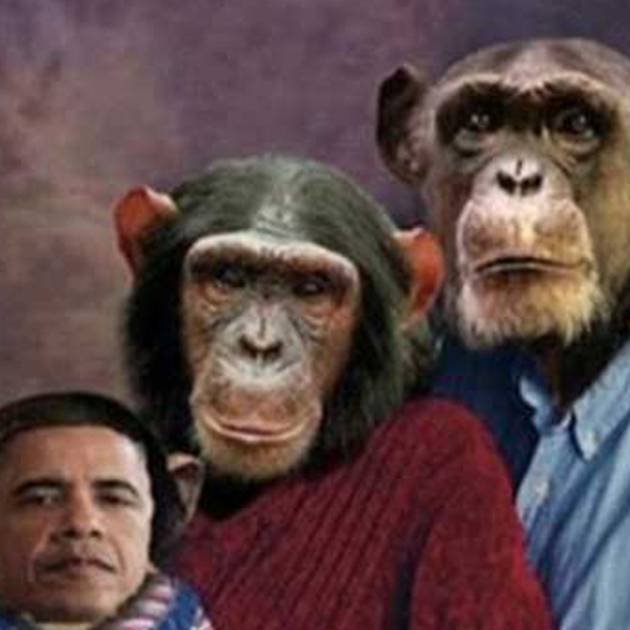 new-york-post-cartoon-obama-chimp. The New York Post has been accused of 