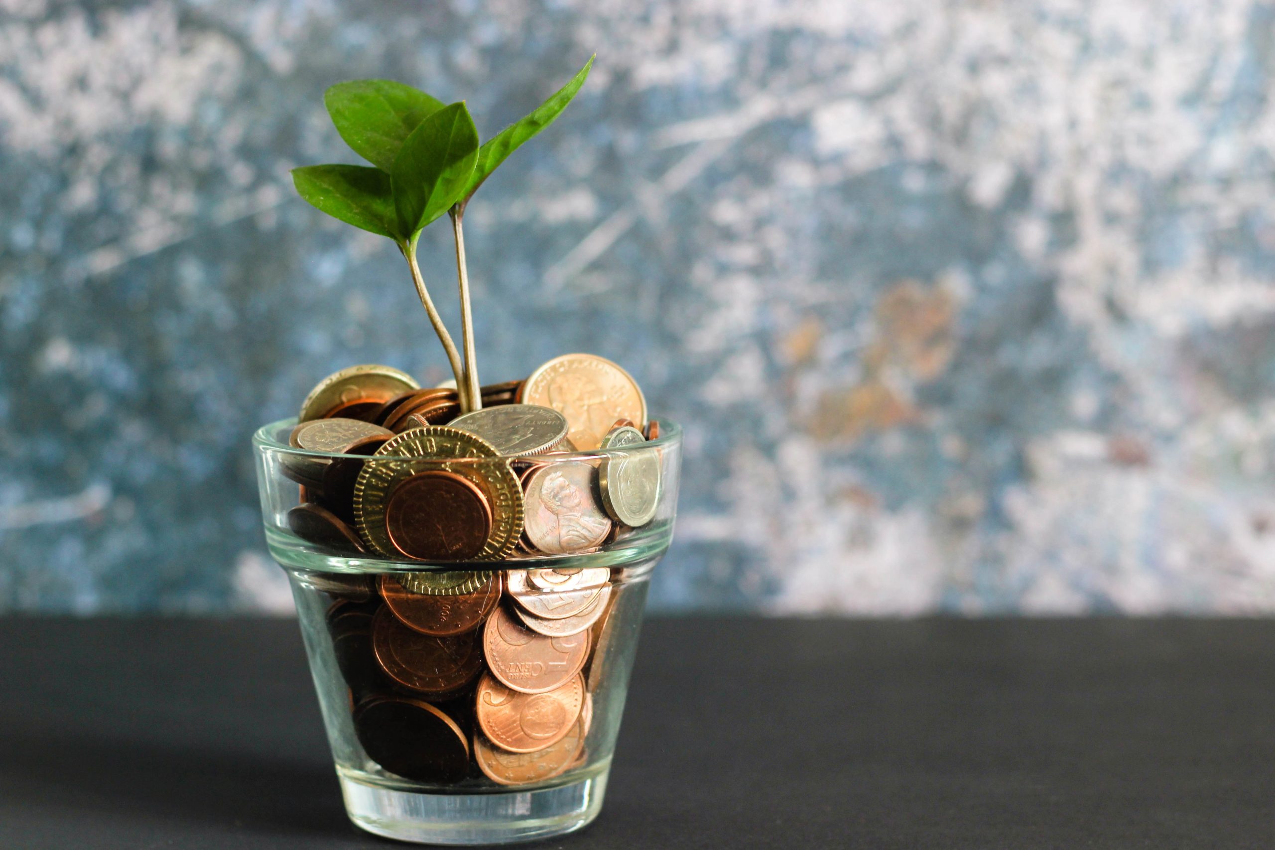 Finance Quiz 1 micheile dot com ZVprbBmT8QA unsplash scaled
